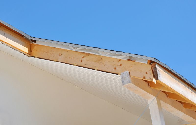 Garage Fascia Repair in Olathe, KS