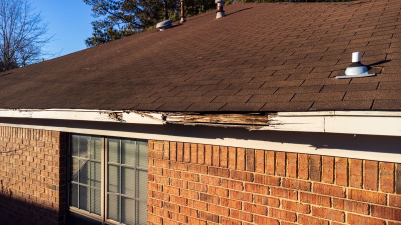 Under Deck Ceiling Repair in Overland Park, KS